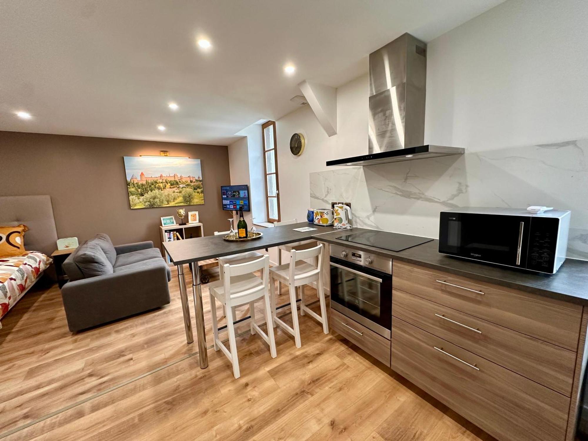 Les Appartements Du Palais 카르카손 외부 사진