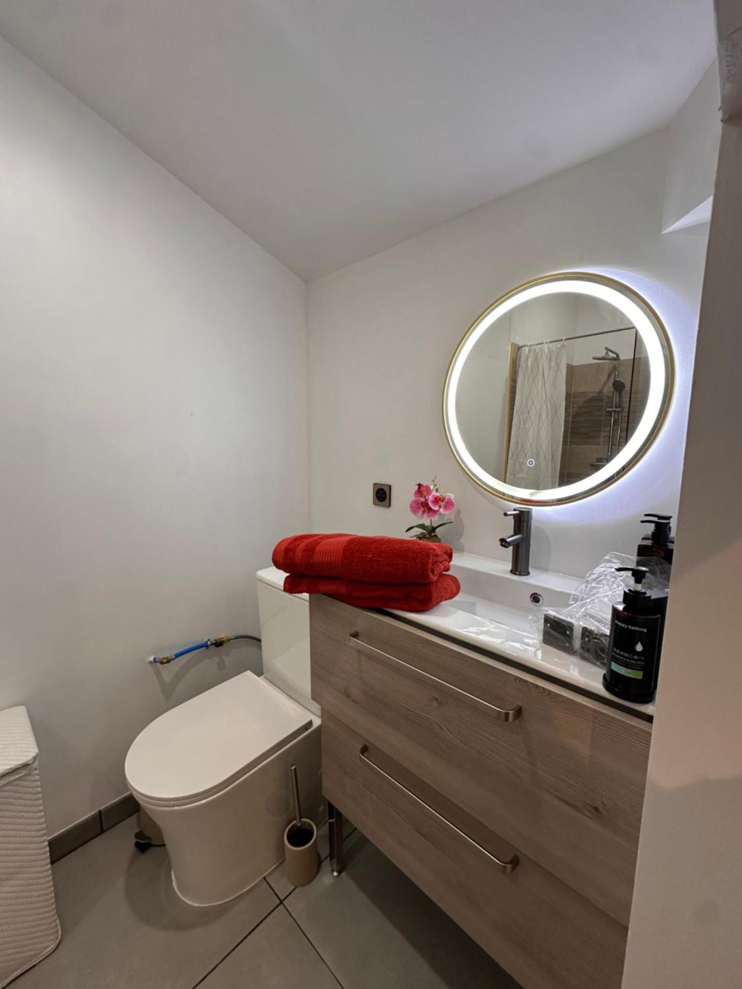 Les Appartements Du Palais 카르카손 외부 사진