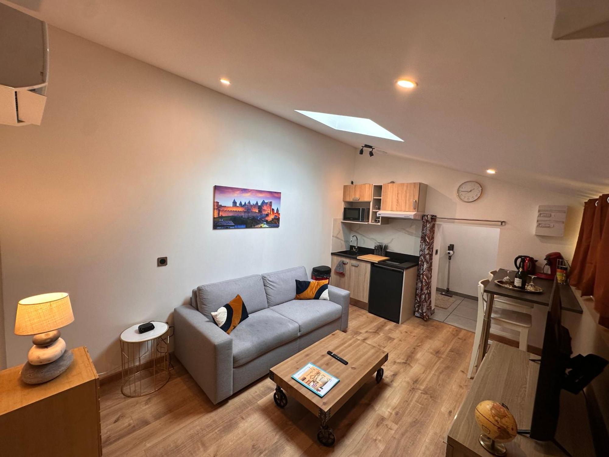 Les Appartements Du Palais 카르카손 외부 사진